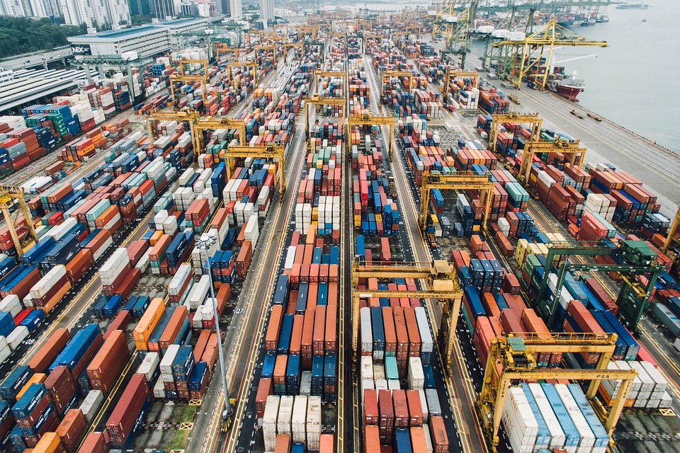 exportação