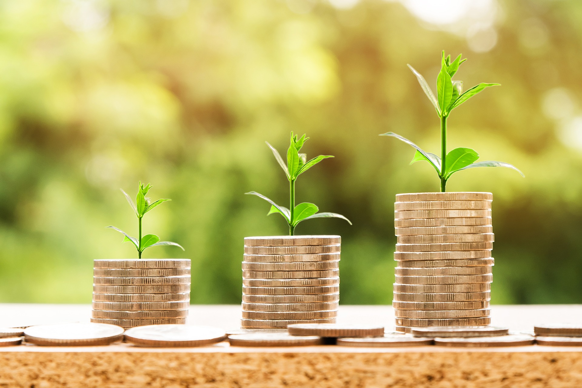 Capital semente: o que é e como conseguir um SEED Capital semente é um tipo de investimento